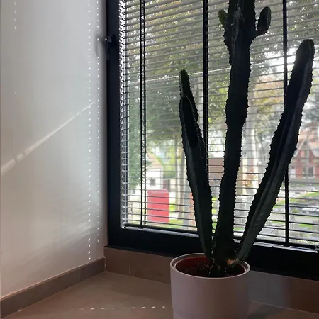 Apartmán Logie De Terp Knokke-Heist