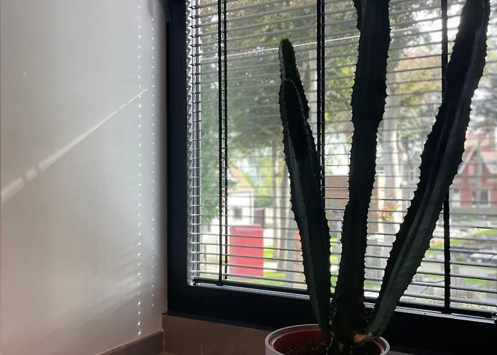 Apartment Logie De Terp Knokke-Heist