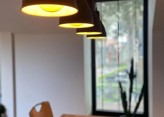 Logie De Terp * 크노케-하이스트